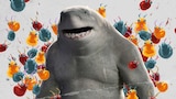 GET TO KNOW KING SHARK