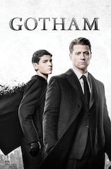 Gotham (2014 - 2019)
